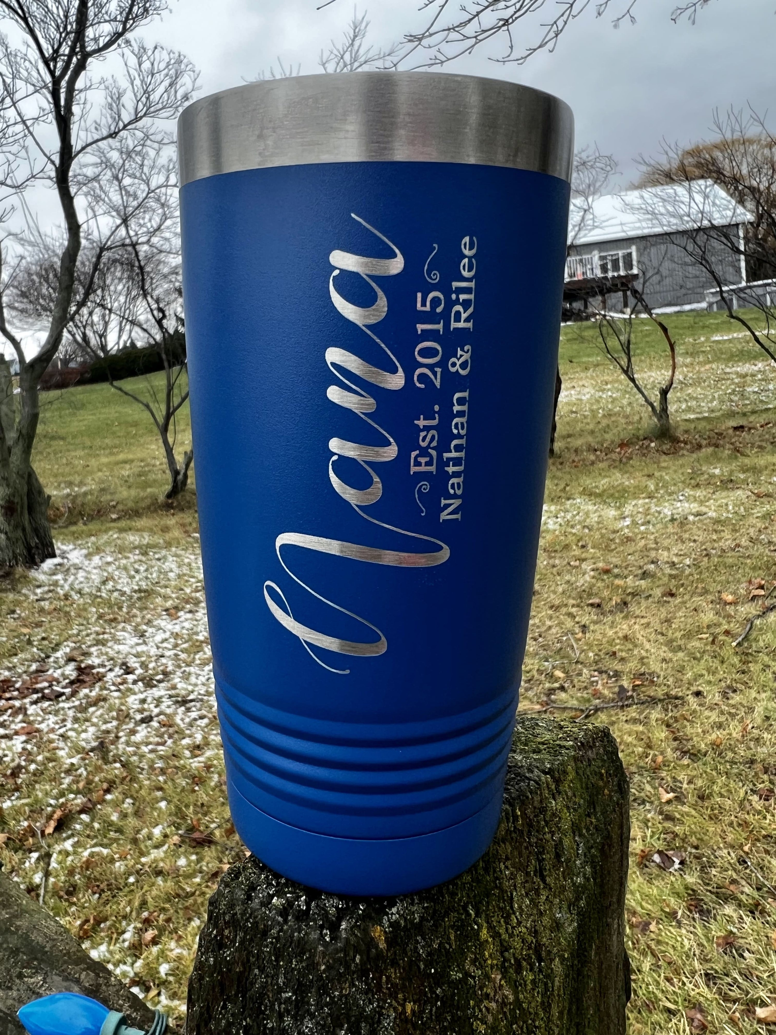 20oz Polar Camel Stainless Insulated Tumbler